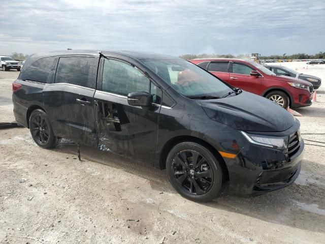 2023 Honda Odyssey SPORT-L