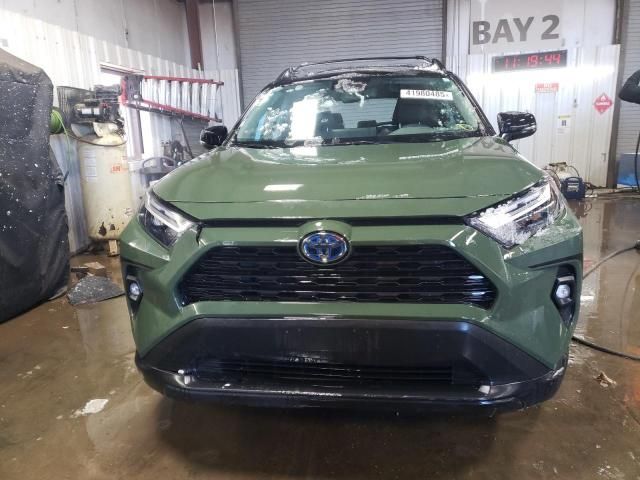 2024 Toyota Rav4 Woodland Edition