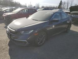 Honda salvage cars for sale: 2021 Honda Civic EX