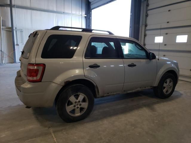 2009 Ford Escape XLT