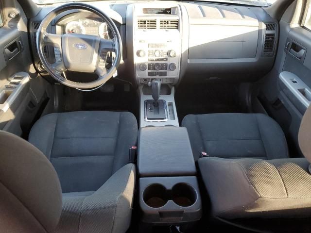 2009 Ford Escape XLT