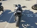 2024 Harley-Davidson RH1250 S