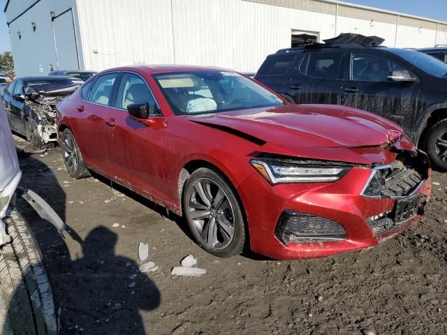 2021 Acura TLX Advance