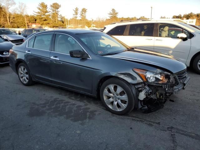 2010 Honda Accord EXL