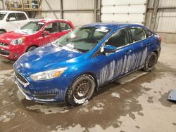 Ford Focus salvage cars for sale: 2018 Ford Focus SE