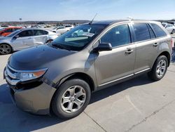 2014 Ford Edge SEL for sale in Grand Prairie, TX