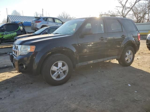 2011 Ford Escape XLT