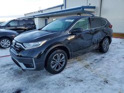 2020 Honda CR-V EX for sale in Wayland, MI
