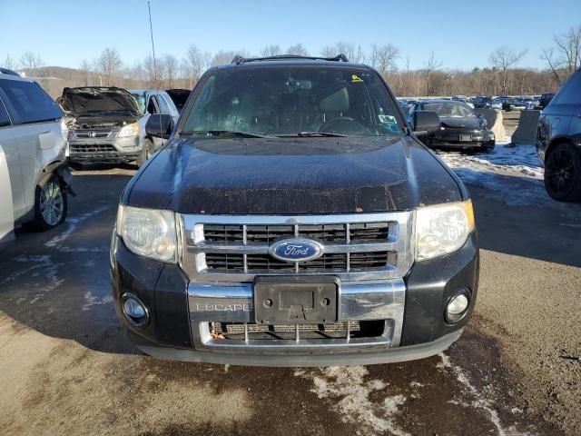 2011 Ford Escape Limited