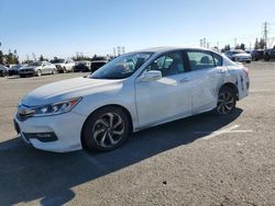 Salvage cars for sale from Copart Rancho Cucamonga, CA: 2017 Honda Accord EX