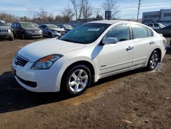 Salvage cars for sale from Copart Chicago Heights, IL: 2009 Nissan Altima Hybrid