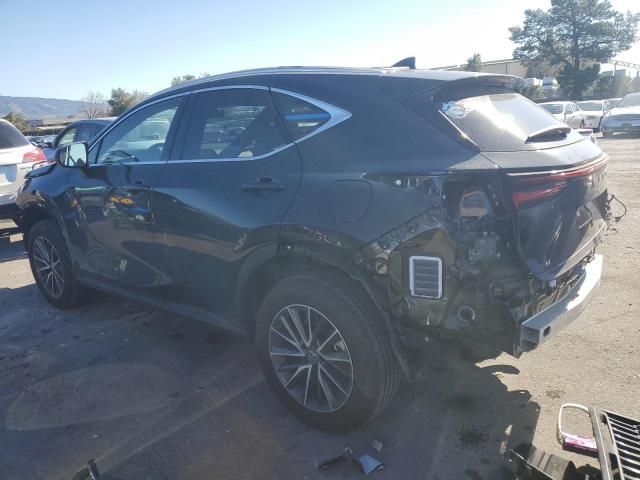 2024 Lexus NX 350 Base