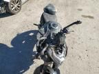 2024 Cf Moto 800NK