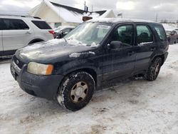 Ford Escape salvage cars for sale: 2003 Ford Escape XLS