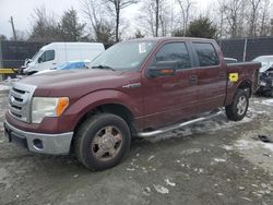 Ford salvage cars for sale: 2010 Ford F150 Supercrew