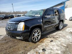 Cadillac Escalade salvage cars for sale: 2008 Cadillac Escalade Luxury