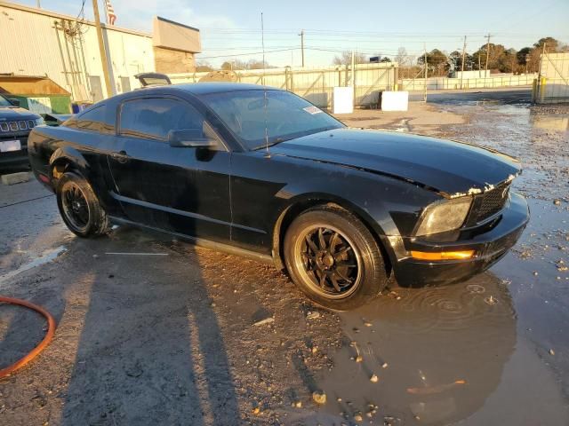 2005 Ford Mustang