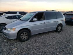 Honda Odyssey exl salvage cars for sale: 2003 Honda Odyssey EXL