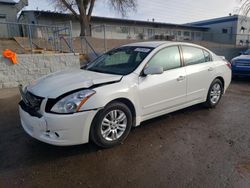 Salvage cars for sale from Copart Albuquerque, NM: 2011 Nissan Altima Base