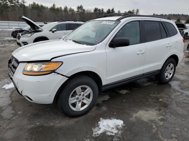 2009 Hyundai Santa FE GLS