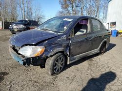 Toyota Echo salvage cars for sale: 2002 Toyota Echo