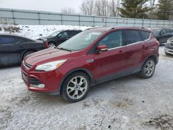 Ford Escape salvage cars for sale: 2014 Ford Escape Titanium