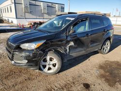 Ford salvage cars for sale: 2016 Ford Escape SE