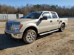 Ford salvage cars for sale: 2010 Ford F150 Supercrew