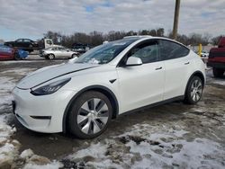 Tesla Model y salvage cars for sale: 2021 Tesla Model Y