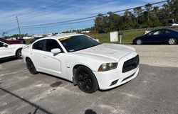 2013 Dodge Charger R/T en venta en Orlando, FL