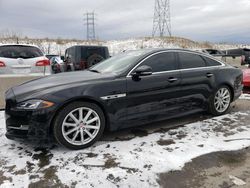 2019 Jaguar XJ R-Sport for sale in Littleton, CO