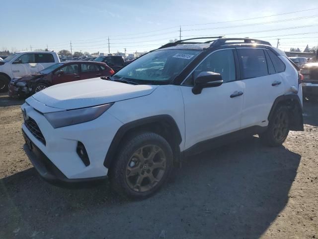 2024 Toyota Rav4 Woodland Edition