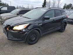 Vehiculos salvage en venta de Copart Ontario Auction, ON: 2014 Ford Escape SE