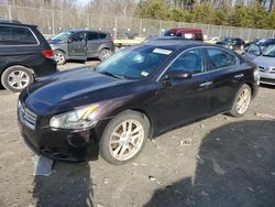 Vehiculos salvage en venta de Copart Waldorf, MD: 2013 Nissan Maxima S