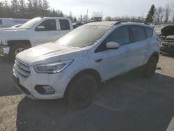 Salvage cars for sale from Copart Ontario Auction, ON: 2017 Ford Escape SE