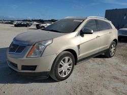 2010 Cadillac SRX Luxury Collection for sale in West Palm Beach, FL