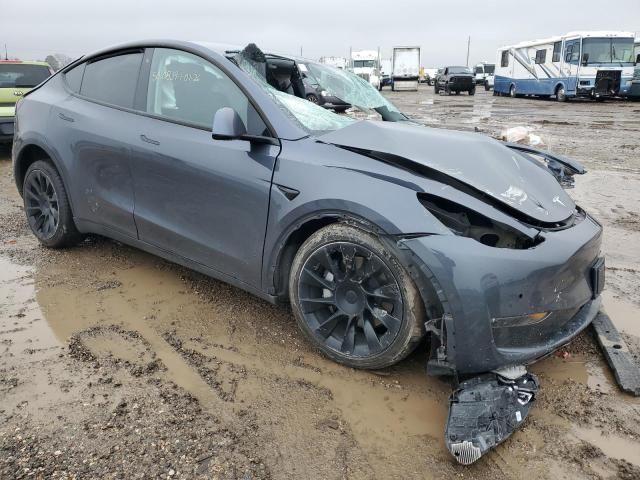 2020 Tesla Model Y