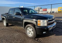 2011 Chevrolet Silverado K1500 LT en venta en Elgin, IL