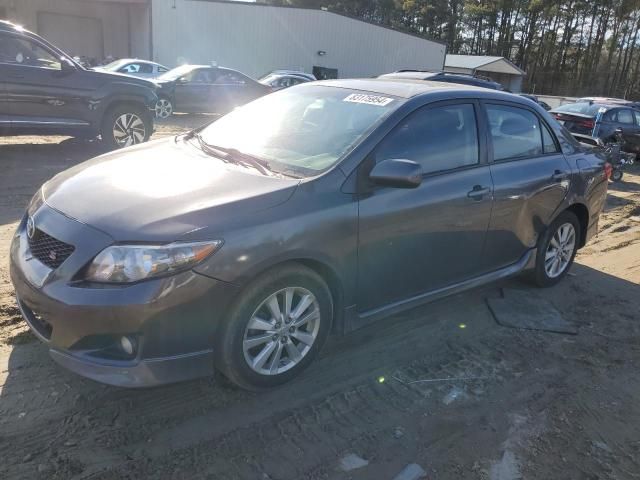 2010 Toyota Corolla Base