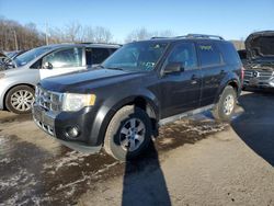 2011 Ford Escape Limited for sale in Marlboro, NY