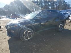 Salvage cars for sale from Copart North Billerica, MA: 2024 Hyundai Tucson Limited