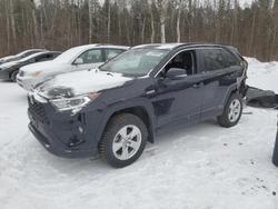 2021 Toyota Rav4 xle en venta en Cookstown, ON