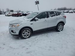 Ford Escape salvage cars for sale: 2019 Ford Escape SE