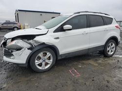 Ford salvage cars for sale: 2013 Ford Escape SE