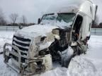 2023 Freightliner Cascadia 126