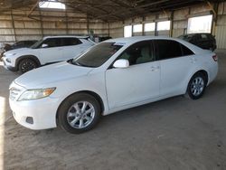 Salvage cars for sale from Copart Phoenix, AZ: 2010 Toyota Camry Base