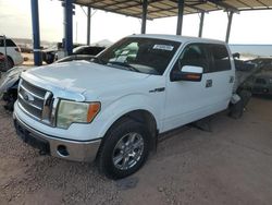 Ford salvage cars for sale: 2010 Ford F150 Supercrew