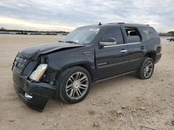 2013 Cadillac Escalade Premium for sale in San Antonio, TX