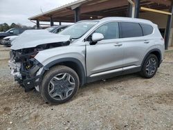 Hyundai Santa fe salvage cars for sale: 2022 Hyundai Santa FE SEL Premium