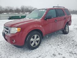 Ford Escape salvage cars for sale: 2011 Ford Escape XLT